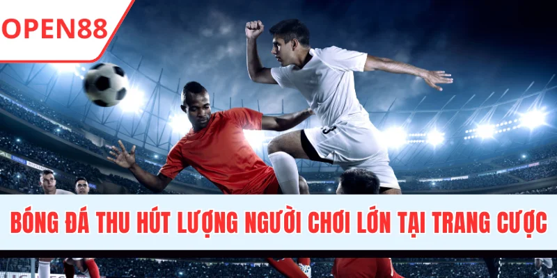 Thể Thao OPEN88 - Sảnh Cược Chất Lượng Đạt Chuẩn Quốc Tế