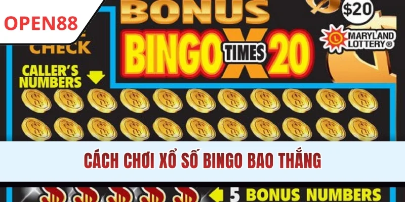Cách Chơi Xổ Số Bingo OPEN88 Chuẩn Xác Và Bí Mật Chiến Thắng