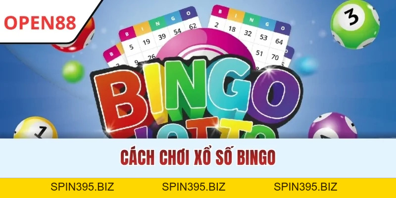 Cách Chơi Xổ Số Bingo OPEN88 Chuẩn Xác Và Bí Mật Chiến Thắng